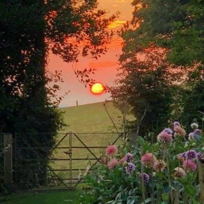 金沙乐娱app下载官网版