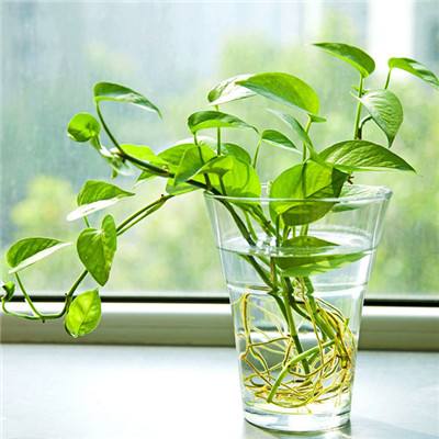 中欧体育app下载安装